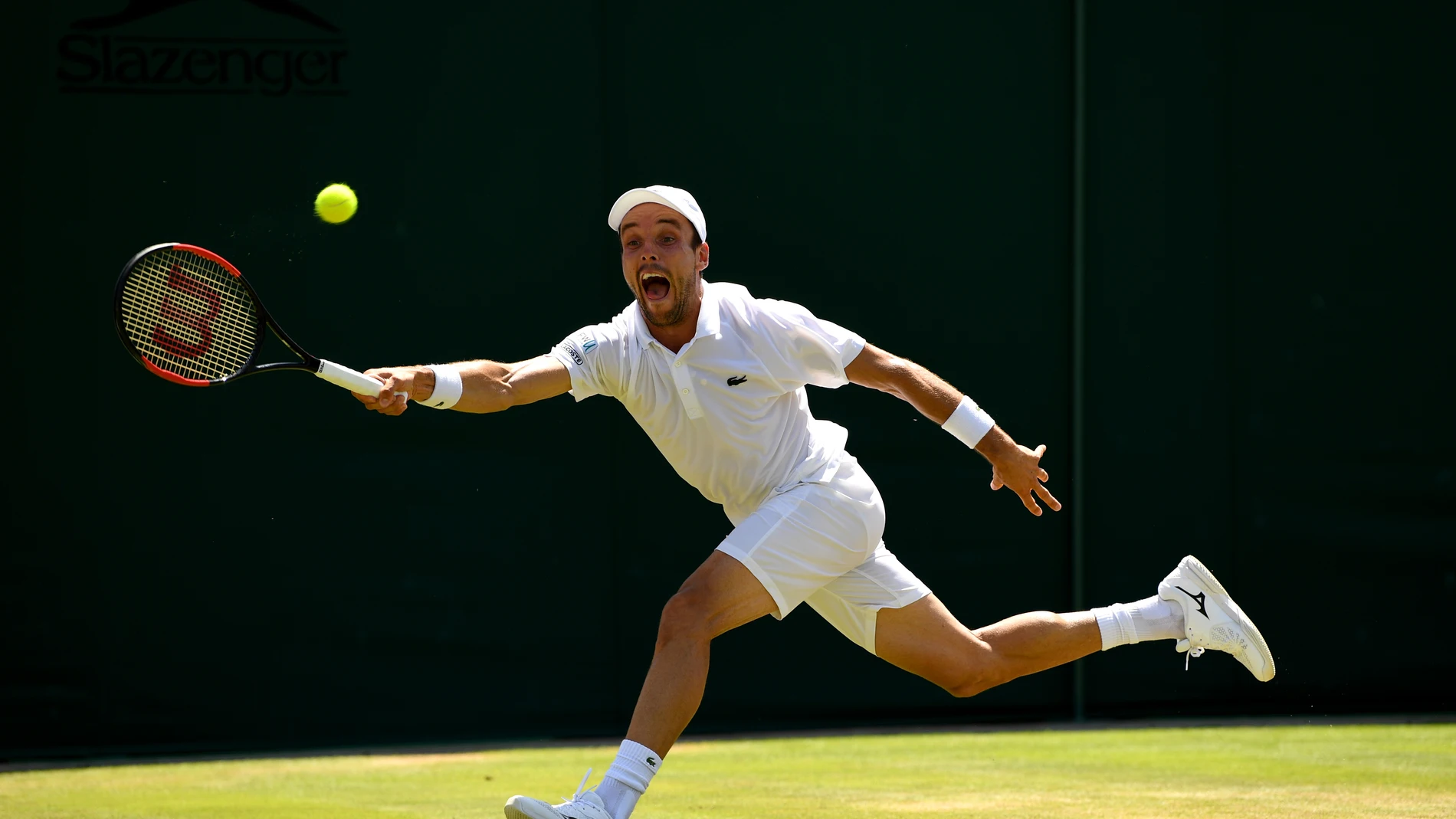 roberto bautista roberto bautista