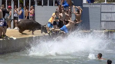 'Toro de Bous' 'Toro de Bous'