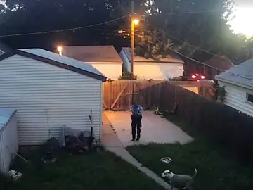 El policía disparando a uno de los perros El policía disparando a uno de los perros