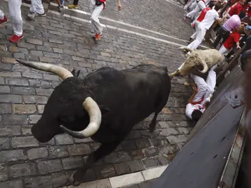 Quinto encierro San Fermín 2017 Quinto encierro San Fermín 2017