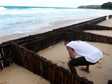 Científicos alertan del impacto de la subida del nivel del mar en zonas costeras Científicos alertan del impacto de la subida del nivel del mar en zonas costeras