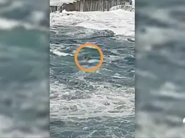 La pareja localizada muerta en Guardamar era de Murcia y puede que saliera a nadar a pesar de las malas condiciones La pareja localizada muerta en Guardamar era de Murcia y puede que saliera a nadar a pesar de las malas condiciones