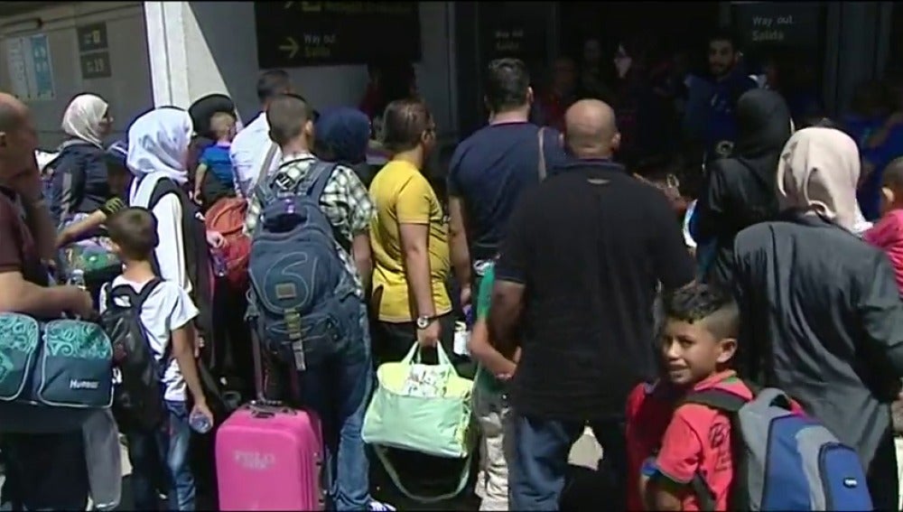 Llegan a España 204 refugiados