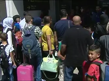 Llegan a España 204 refugiados Llegan a España 204 refugiados