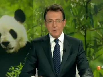 "¡Vaya panda!", el chiste de Matías Prats "¡Vaya panda!", el chiste de Matías Prats