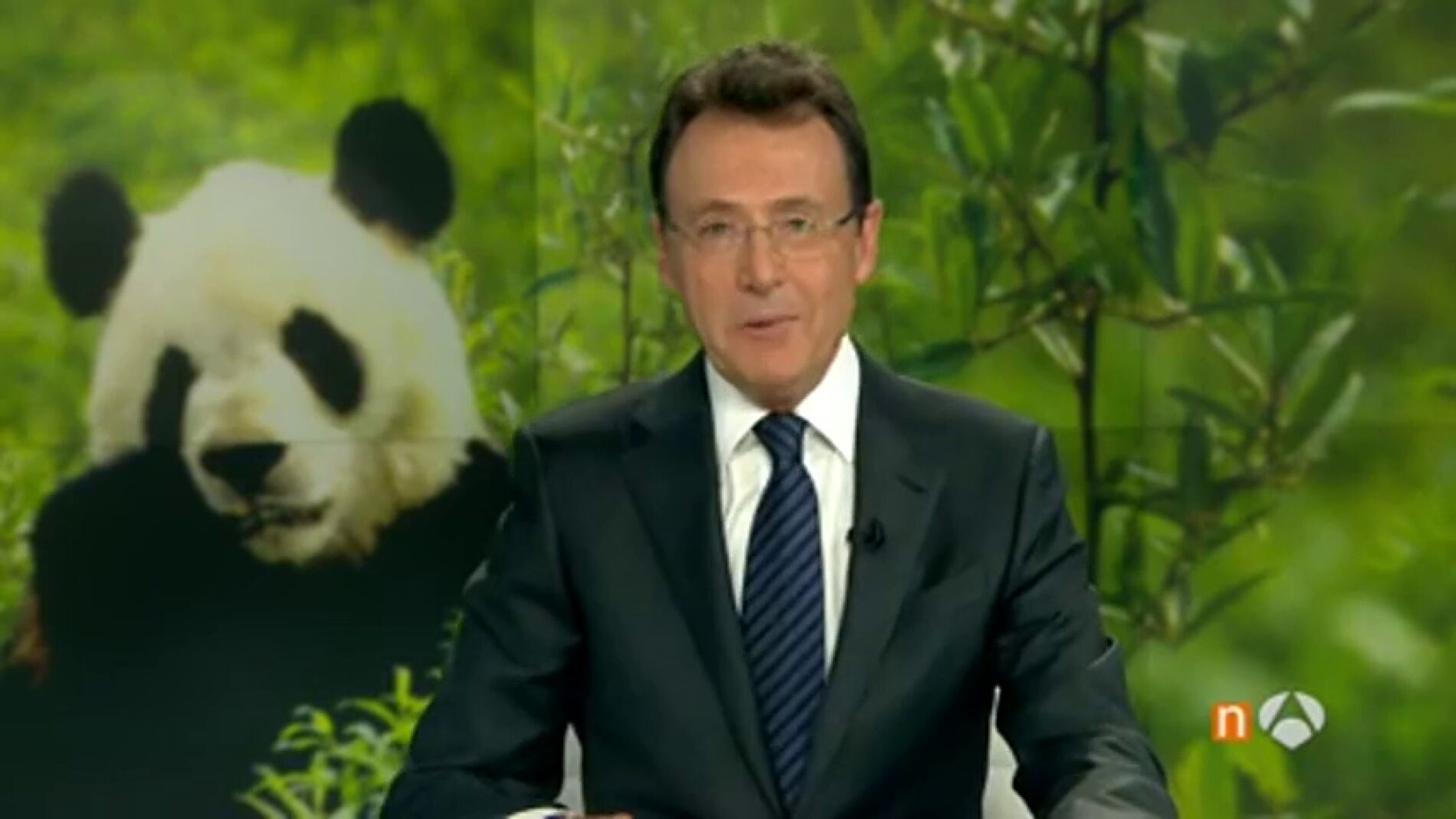 "¡Vaya panda!", el chiste de Matías Prats
