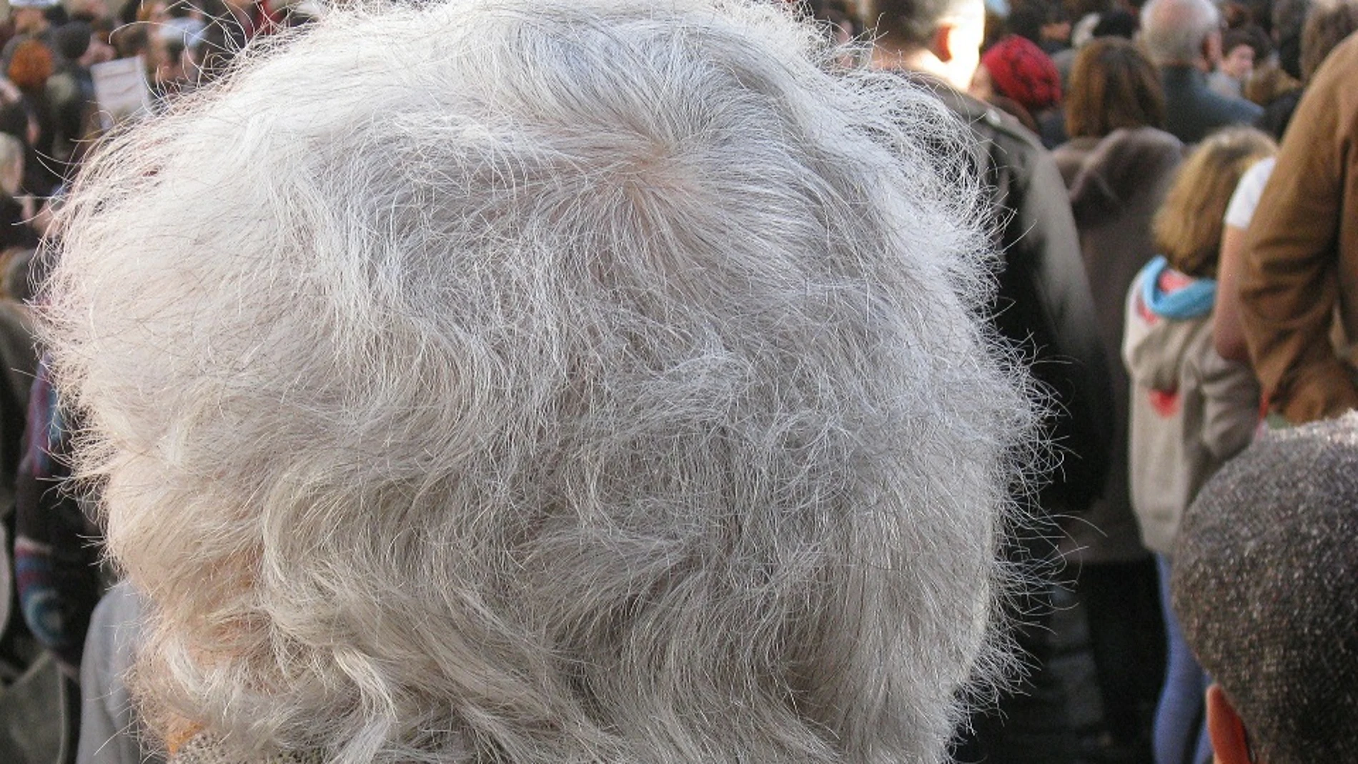 Hombre con canas Hombre con canas