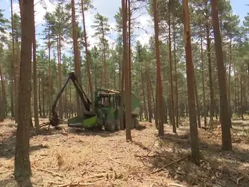Cómo evitar los incendios en verano Cómo evitar los incendios en verano