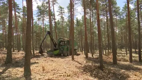Cómo evitar los incendios en verano Cómo evitar los incendios en verano