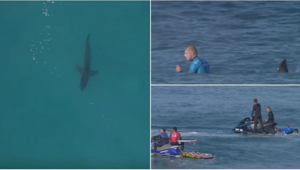 Mick Fanning, de nuevo ante un tiburón en Sudáfrica