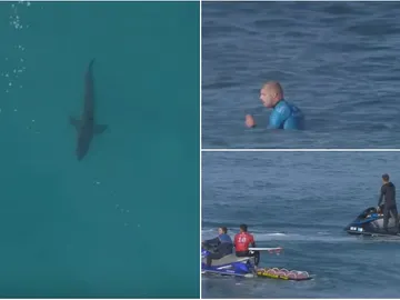 Mick Fanning, de nuevo ante un tiburón en Sudáfrica Mick Fanning, de nuevo ante un tiburón en Sudáfrica