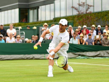 Tomic en Wimbledon