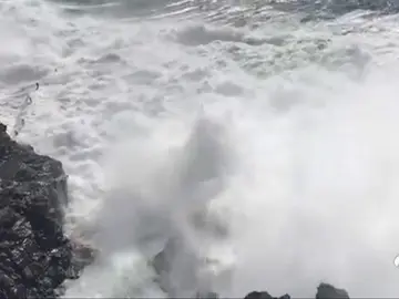 socorrista socorrista