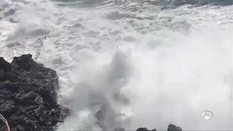 socorrista socorrista