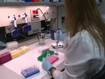 El 'boom' de los test de paternidad en España El 'boom' de los test de paternidad en España