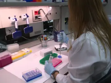 El 'boom' de los test de paternidad en España El 'boom' de los test de paternidad en España