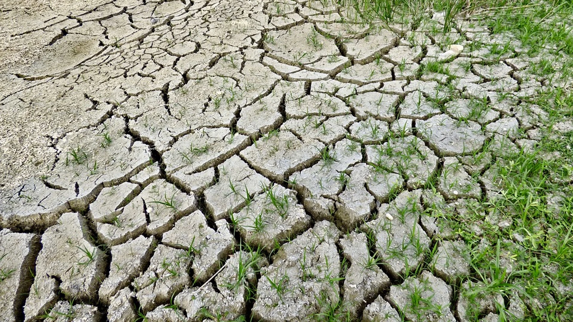 El cambio climático matará en 2100 a unas 260.000 personas El cambio climático matará en 2100 a unas 260.000 personas