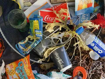 Contaminación en playas Contaminación en playas