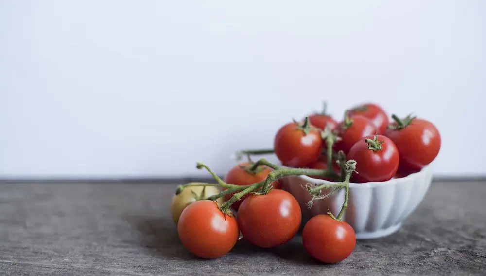 Tomates de temporada