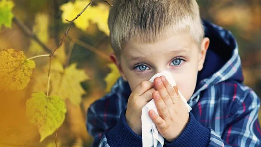 10 pistas para diferenciar un catarro de una alergia en los niños 10 pistas para diferenciar un catarro de una alergia en los niños