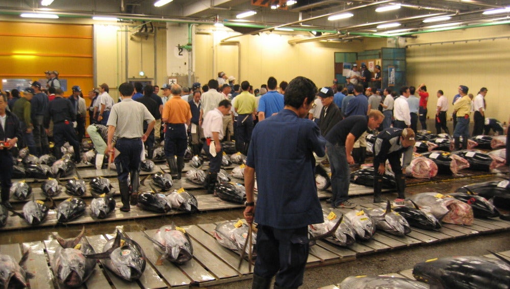 Venta de atún en el mercado Tsukiji