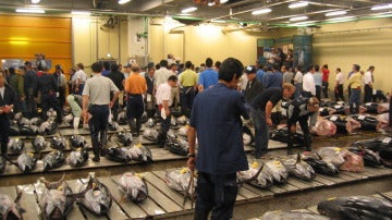 Venta de atún en el mercado Tsukiji