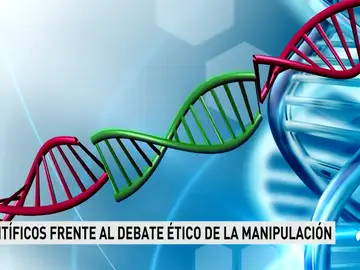 DEBATE EMBRIONES DEBATE EMBRIONES