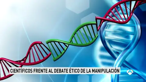 DEBATE EMBRIONES DEBATE EMBRIONES