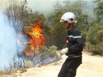 El fuego asfixia Europa (03/08/2017)