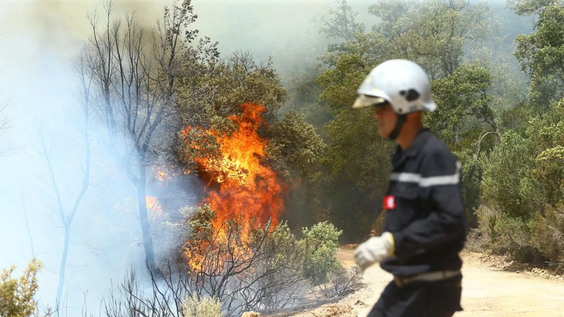 El fuego asfixia Europa (03/08/2017) El fuego asfixia Europa (03/08/2017)