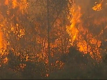 En Galicia, tres de cada cuatro incendios son intencionados