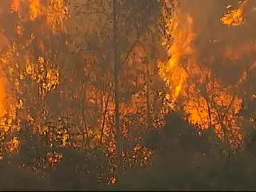 En Galicia, tres de cada cuatro incendios son intencionados En Galicia, tres de cada cuatro incendios son intencionados