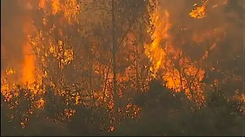 En Galicia, tres de cada cuatro incendios son intencionados En Galicia, tres de cada cuatro incendios son intencionados