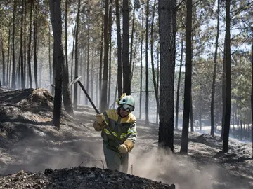 La superficie quemada en Verín (Ourense) se mantiene en las 1.360 hectáreas La superficie quemada en Verín (Ourense) se mantiene en las 1.360 hectáreas