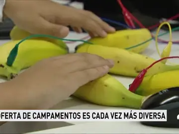 El mundo de los campamentos tiene una oferta cada vez más amplia y original El mundo de los campamentos tiene una oferta cada vez más amplia y original