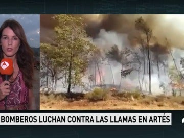 El incendio declarado este sábado en Barcelona afecta ya a 300 hectáreas, la mayor parte terreno forestal 