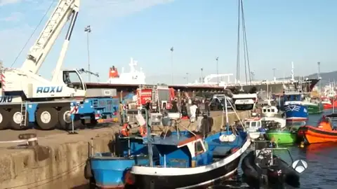 pescadorgijón pescadorgijón