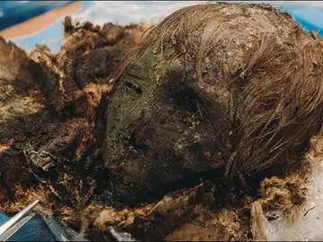 Cabeza de la momia Cabeza de la momia