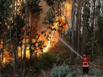 Incendio cerca de Coimbra Incendio cerca de Coimbra