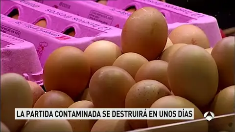 La alerta por huevos contaminados con pesticida afecta a diecisiete países La alerta por huevos contaminados con pesticida afecta a diecisiete países