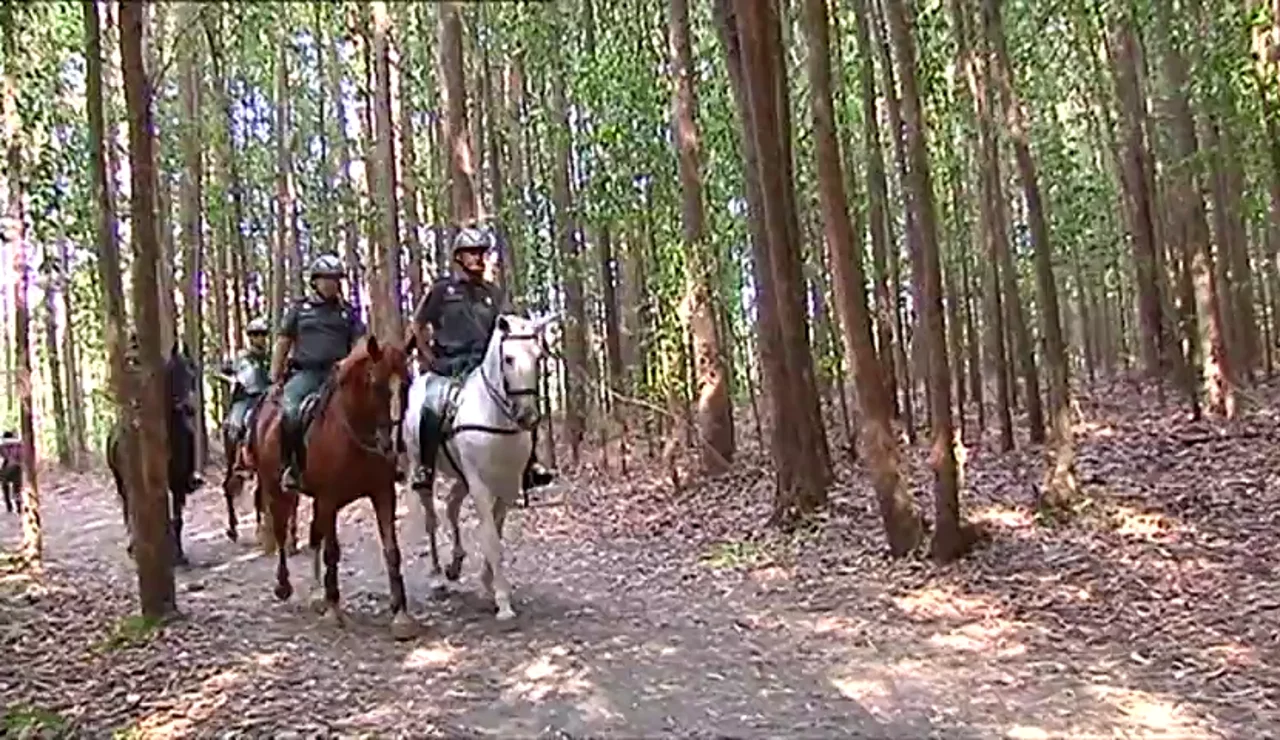 La Guardia Civil intensifica la vigilancia en el Camino de Santiago con patrullas a caballo
