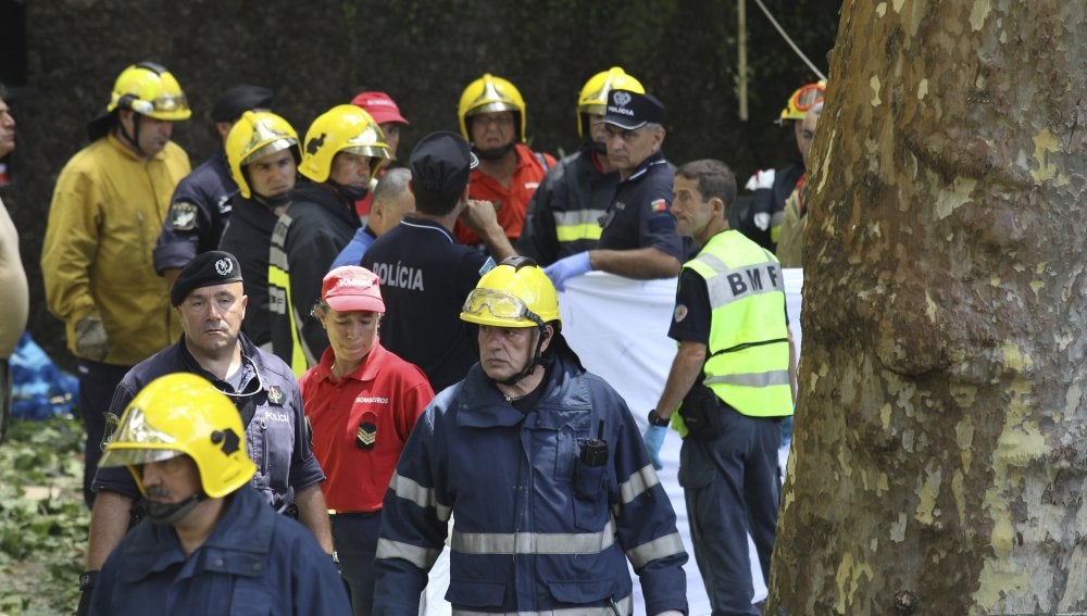 Al menos 11 muertos al caer un árbol sobre la multitud en una fiesta religiosa en Madeira 