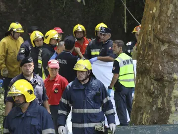 Al menos 11 muertos al caer un árbol sobre la multitud en una fiesta religiosa en Madeira Al menos 11 muertos al caer un árbol sobre la multitud en una fiesta religiosa en Madeira