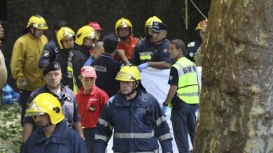 Al menos 13 muertos y 50 heridos al caer un árbol sobre la multitud en una fiesta religiosa en Madeira 