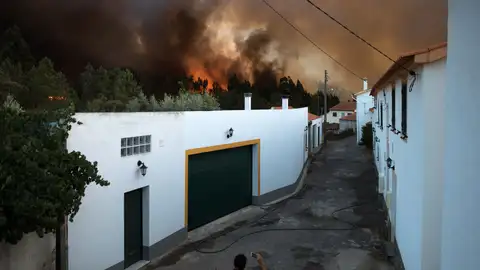 Una mujer es vista cerca de un incendio forestal Una mujer es vista cerca de un incendio forestal