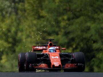 Fernando Alonso, durante el GP de Hungría