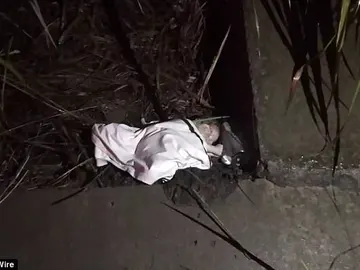 Recién nacido abandonado en unos arbustos en China Recién nacido abandonado en unos arbustos en China