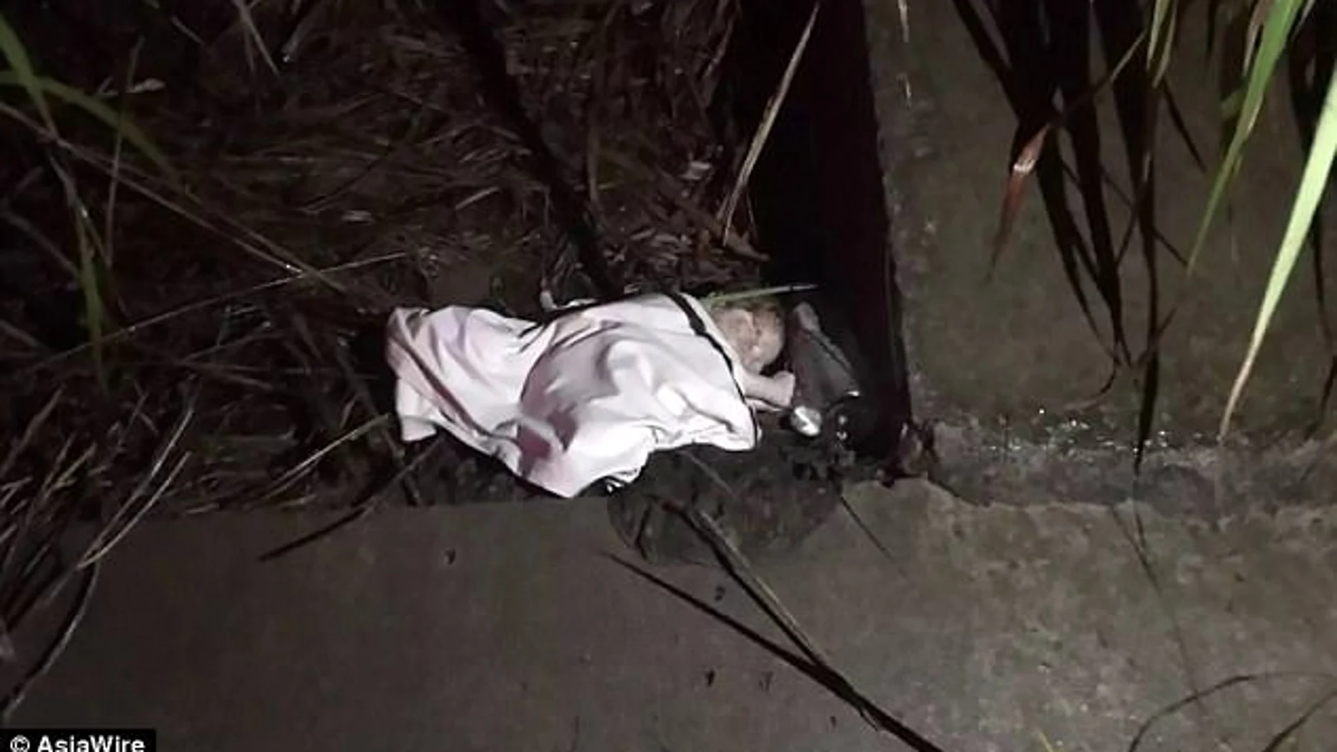 Recién nacido abandonado en unos arbustos en China Recién nacido abandonado en unos arbustos en China