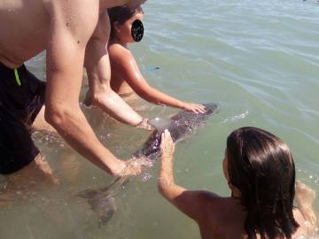 Bañistas fotografiándose con el delfín varado en Mojácar 
