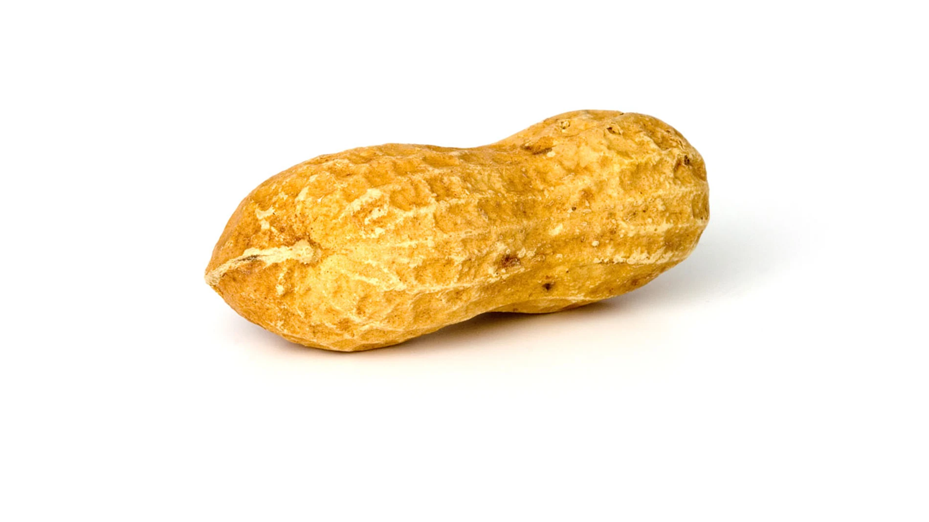 Cacahuete Cacahuete